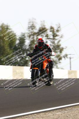 media/Feb-16-2025-TrackDaz (Sun) [[85eae43da9]]/C Group/140pm (Wheelie Dip)/